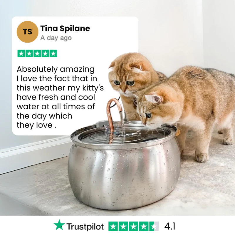 Aelthyr Cat Water Fountain