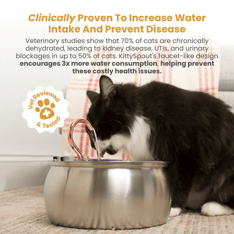 Aelthyr Cat Water Fountain