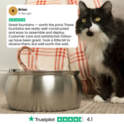 Aelthyr Cat Water Fountain